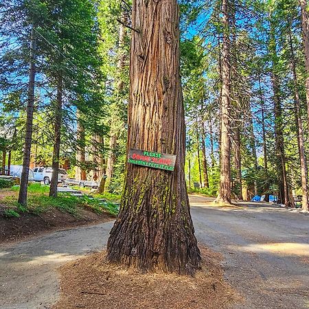 Water'S Edge Retreat Villa Shaver Lake Luaran gambar