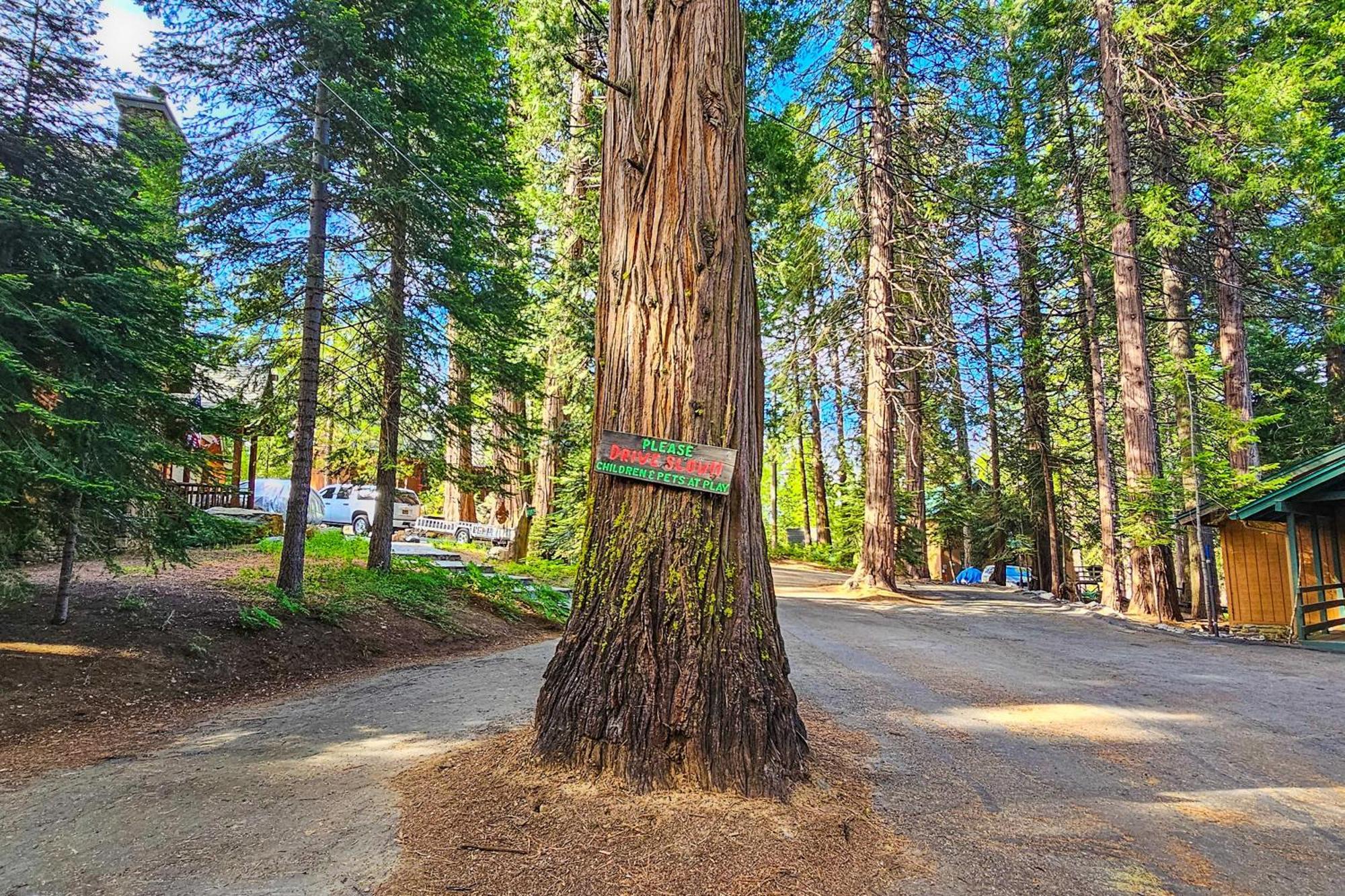 Water'S Edge Retreat Villa Shaver Lake Luaran gambar