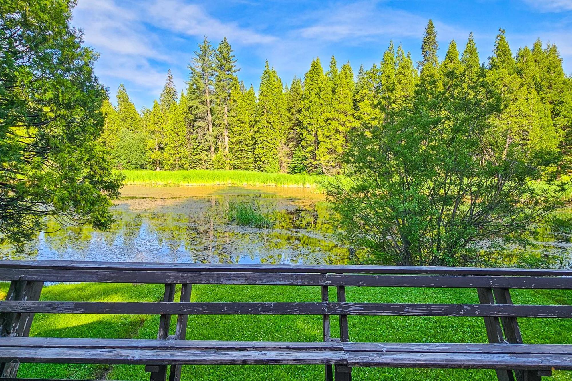 Water'S Edge Retreat Villa Shaver Lake Luaran gambar