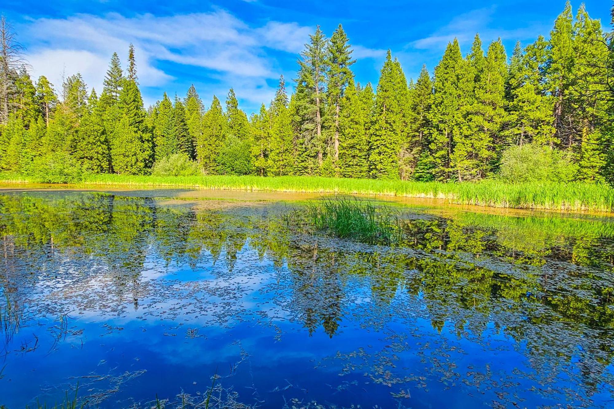 Water'S Edge Retreat Villa Shaver Lake Luaran gambar